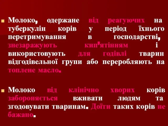 Молоко, одержане від реагуючих на туберкулін корів у період їхнього перетримування в