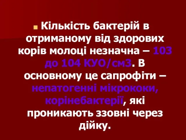 Кількість бактерій в отриманому від здорових корів молоці незначна – 103 до