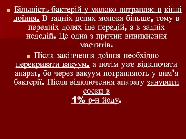 Більшість бактерій у молоко потрапляє в кінці доїння. В задніх долях молока