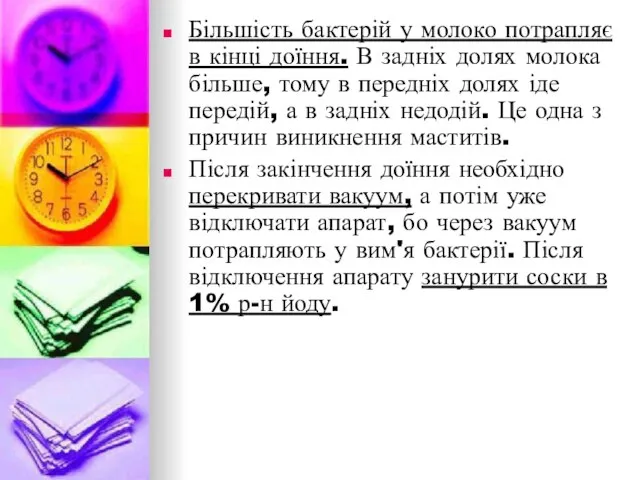 Більшість бактерій у молоко потрапляє в кінці доїння. В задніх долях молока