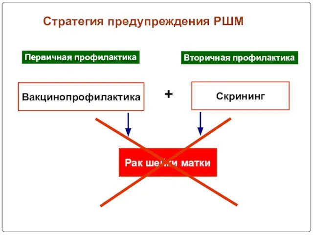 Вакцинопрофилактика Скрининг + Рак шейки матки Стратегия предупреждения РШМ Первичная профилактика Вторичная профилактика