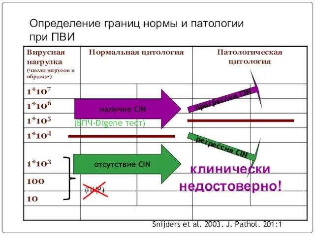 Определение границ нормы и патологии при ПВИ наличие CIN отсутствие CIN регрессия