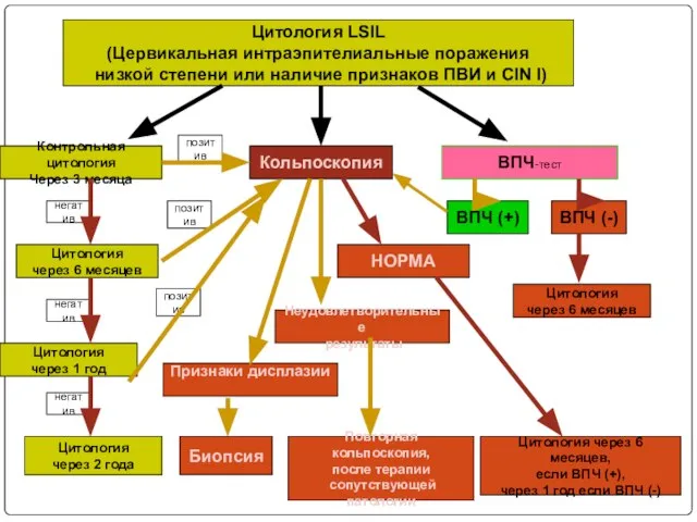 Цитология LSIL (Цервикальная интраэпителиальные поражения низкой степени или наличие признаков ПВИ и