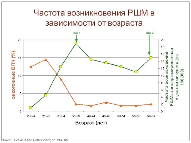 Частота возникновения РШМ в зависимости от возраста Bosch FX et al. J