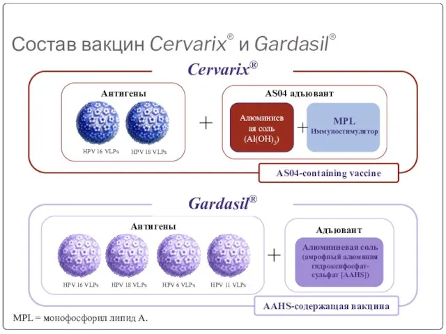 + Алюминиевая соль (амрофный алюминия гидроксифосфат- сульфат [AAHS]) HPV 16 VLPs HPV