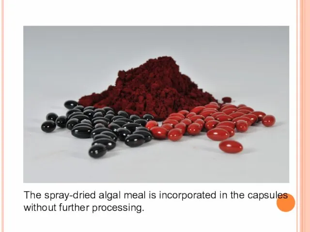 The spray-dried algal meal is incorporated in the capsules without further processing.