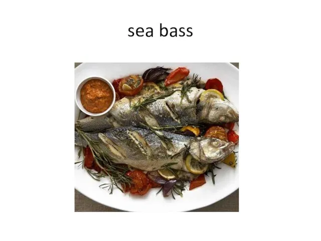 sea bass