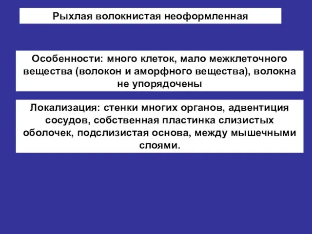 Рыхлая волокнистая неоформленная Особенности: много клеток, мало межклеточного вещества (волокон и аморфного