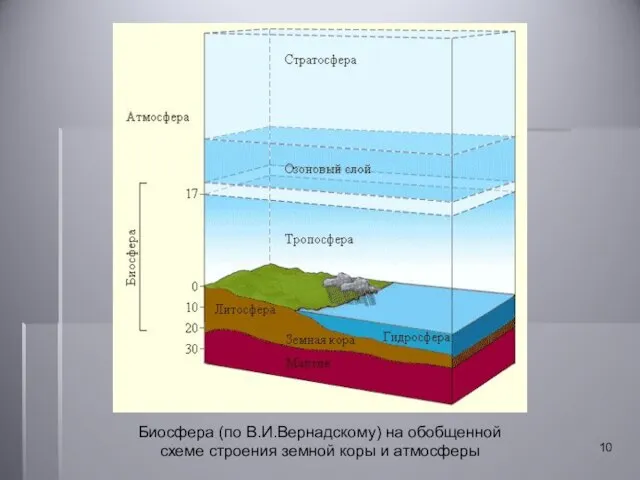 Биосфера (по В.И.Вернадскому) на обобщенной схеме строения земной коры и атмосферы