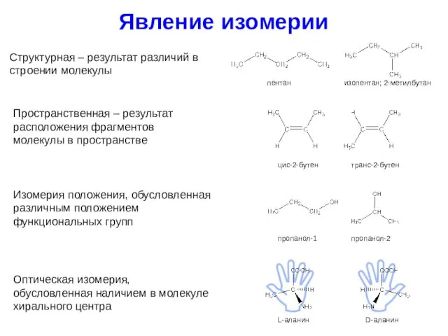 Явление изомерии Структурная – результат различий в строении молекулы Пространственная – результат