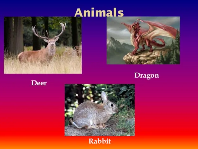 Animals Deer Rabbit Dragon