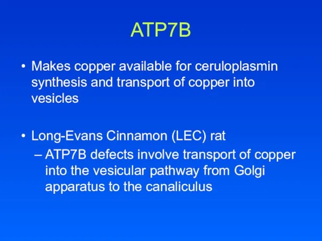 ATP7B Makes copper available for ceruloplasmin synthesis and transport of copper into