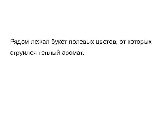 Рядом лежал букет полевых цветов, от которых струился теплый аромат.