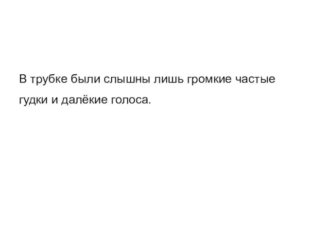 В трубке были слышны лишь громкие частые гудки и далёкие голоса.