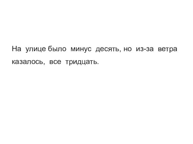 На улице было минус десять, но из-за ветра казалось, все тридцать.