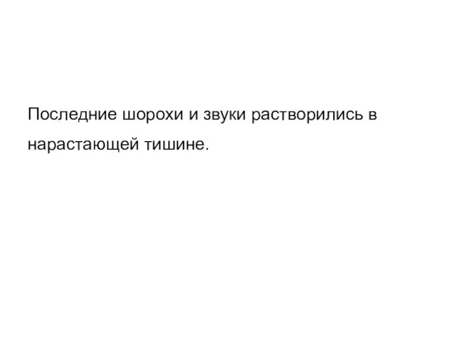 Последние шорохи и звуки растворились в нарастающей тишине.