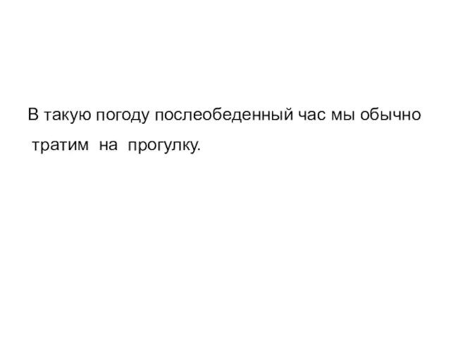 В такую погоду послеобеденный час мы обычно тратим на прогулку.