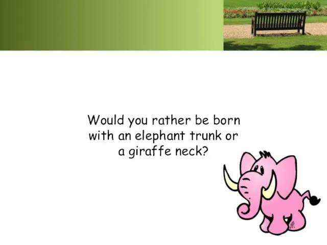 Would you rather be born with an elephant trunk or a giraffe neck?