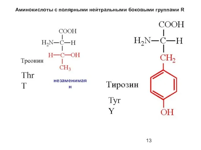 Аминокислоты с полярными нейтральными боковыми группами R Thr T Tyr Y незаменимая н