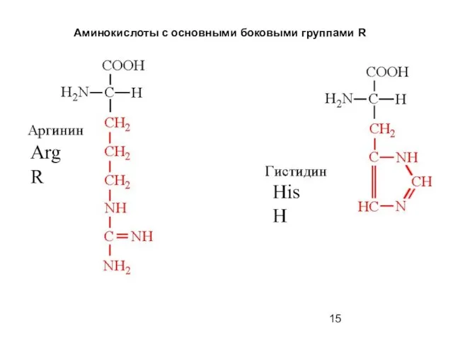 Аминокислоты с основными боковыми группами R Arg R His H