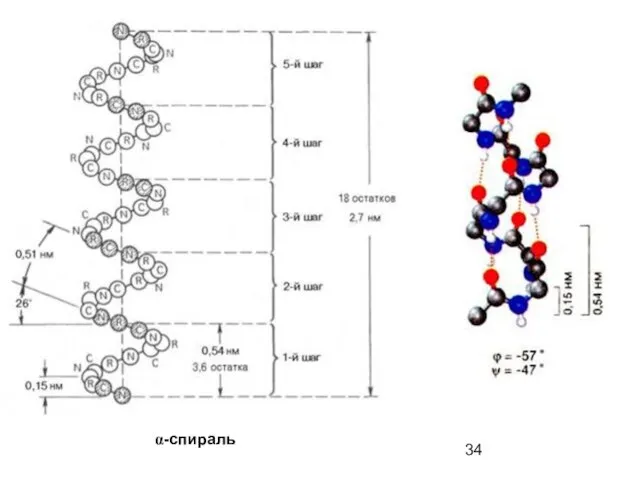 α-спираль