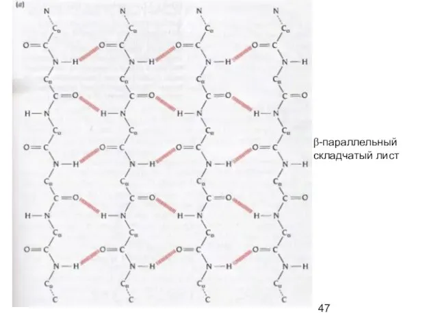 β-параллельный складчатый лист