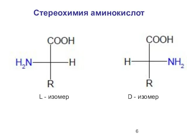 Стереохимия аминокислот L - изомер D - изомер