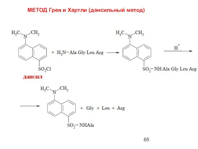 МЕТОД Грея и Хартли (дансильный метод)