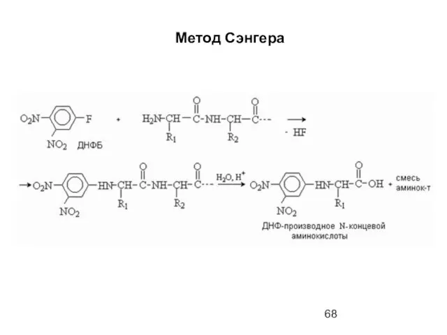 Метод Сэнгера