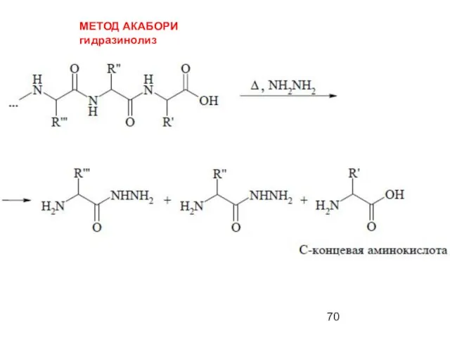 МЕТОД АКАБОРИ гидразинолиз
