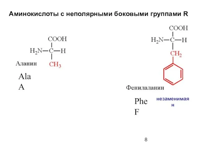 Аминокислоты с неполярными боковыми группами R Ala A Phe F незаменимая н