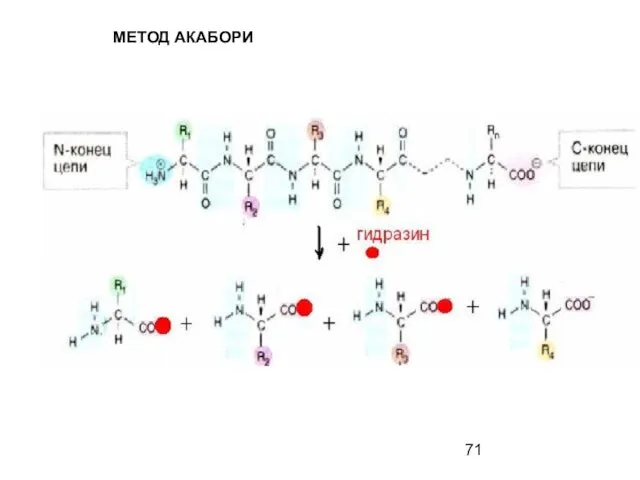 МЕТОД АКАБОРИ