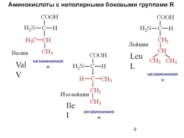 Аминокислоты с неполярными боковыми группами R Val V Leu L Ile I