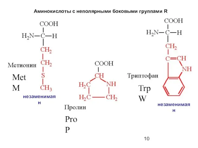 Аминокислоты с неполярными боковыми группами R Met M Pro P Trp W незаменимая н незаменимая н