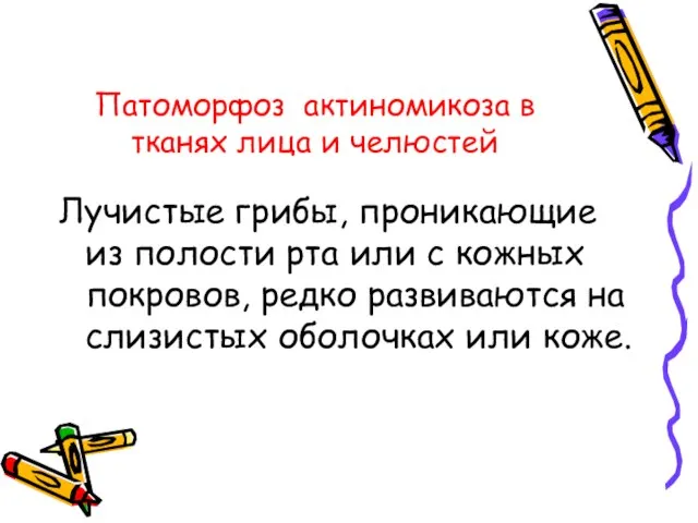 Патоморфоз актиномикоза в тканях лица и челюстей Лучистые грибы, проникающие из полости