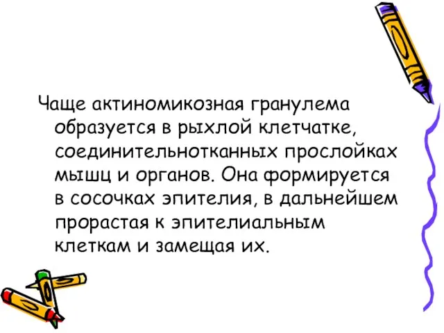 Чаще актиномикозная гранулема образуется в рыхлой клетчатке, соединительнотканных прослойках мышц и органов.