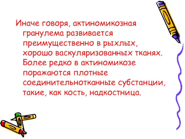 Иначе говоря, актиномикозная гранулема развивается преимущественно в рыхлых, хорошо васкуляризованных тканях. Более