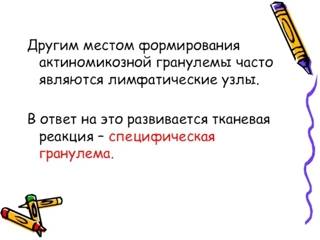 Другим местом формирования актиномикозной гранулемы часто являются лимфатические узлы. В ответ на