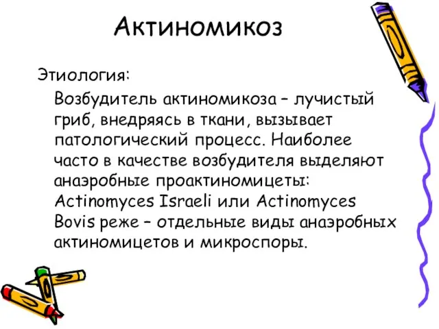 Актиномикоз Этиология: Возбудитель актиномикоза – лучистый гриб, внедряясь в ткани, вызывает патологический