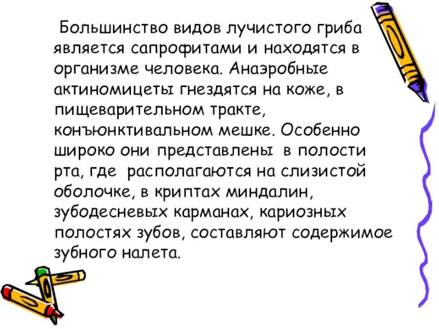 Большинство видов лучистого гриба является сапрофитами и находятся в организме человека. Анаэробные