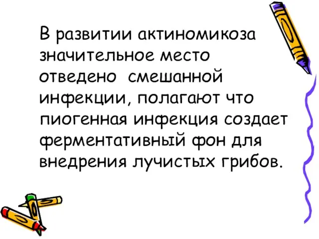 В развитии актиномикоза значительное место отведено смешанной инфекции, полагают что пиогенная инфекция