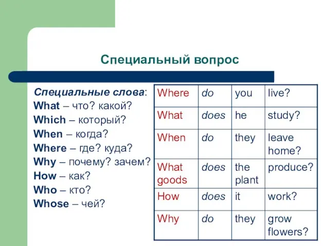 Специальный вопрос Специальные слова: What – что? какой? Which – который? When