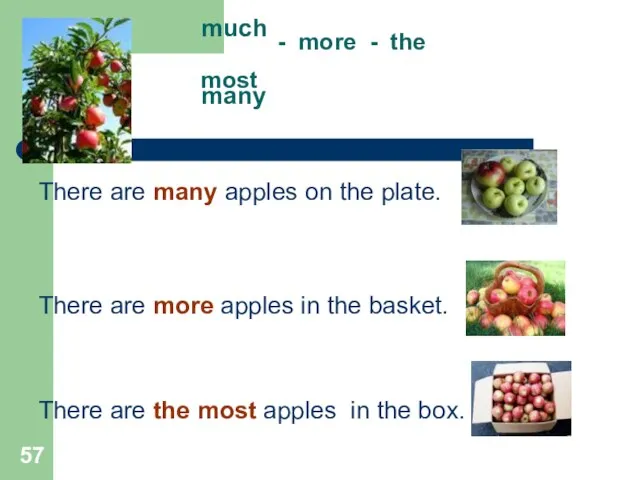 much - more - the most many There are many apples on