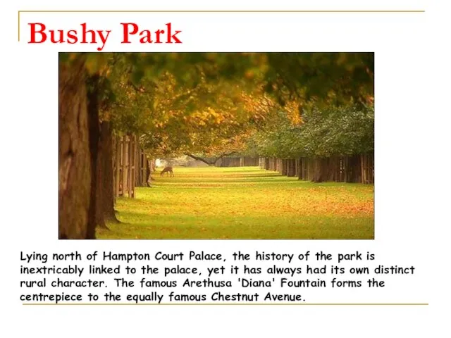 Bushy Park Lying north of Hampton Court Palace, the history of the