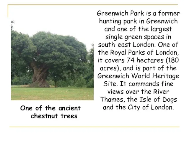 Greenwich Park is a former hunting park in Greenwich and one of