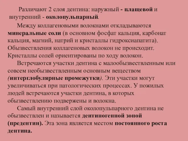 Различают 2 слоя дентина: наружный - плащевой и внутренний - околопульпарный. Между