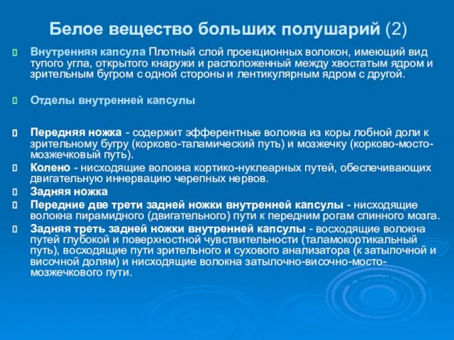 Белое вещество больших полушарий (2) Внутренняя капсула Плотный слой проекционных волокон, имеющий