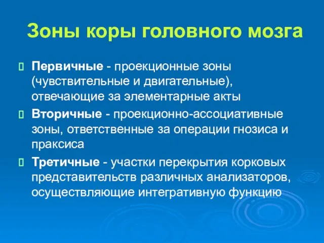 Зоны коры головного мозга Первичные - проекционные зоны (чувствительные и двигательные), отвечающие