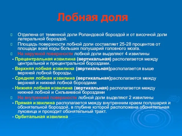 Лобная доля Отделена от теменной доли Роландовой бороздой и от височной доли