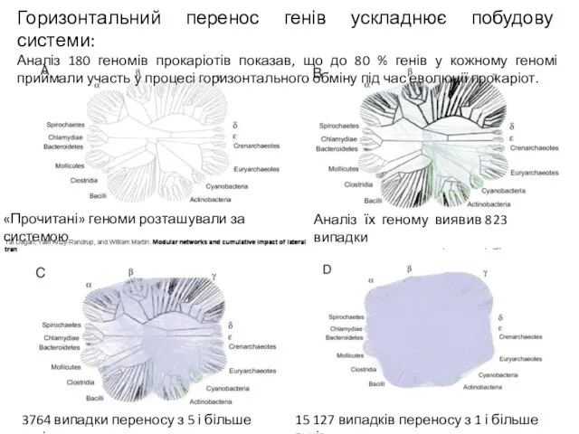 Аналіз їх геному виявив 823 випадки переносу комплексів з 20 і більше